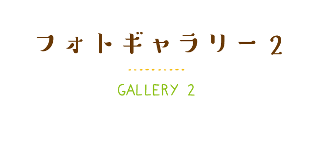 フォトギャラリー2